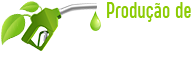 Produção de Biodiesel